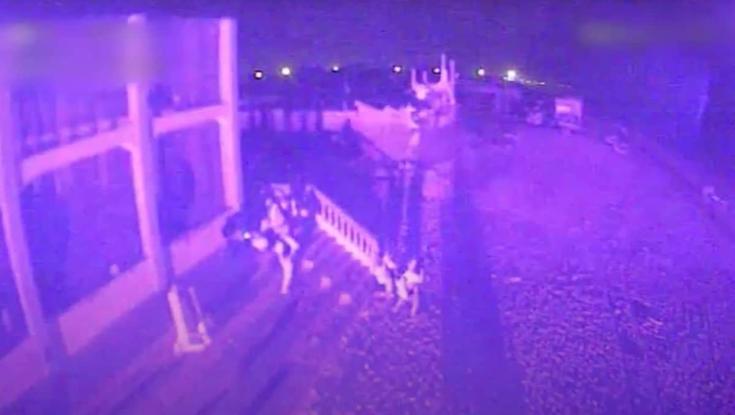 תיעוד דרמטי: כוחות הקומנדו פושטים על הרצועה מהים